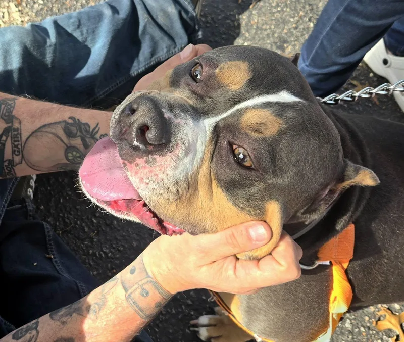 Guinness thumbnail 2