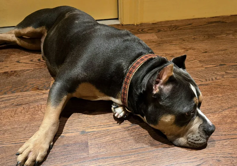 Guinness thumbnail 3