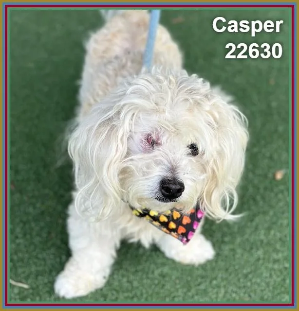 Casper thumbnail 4