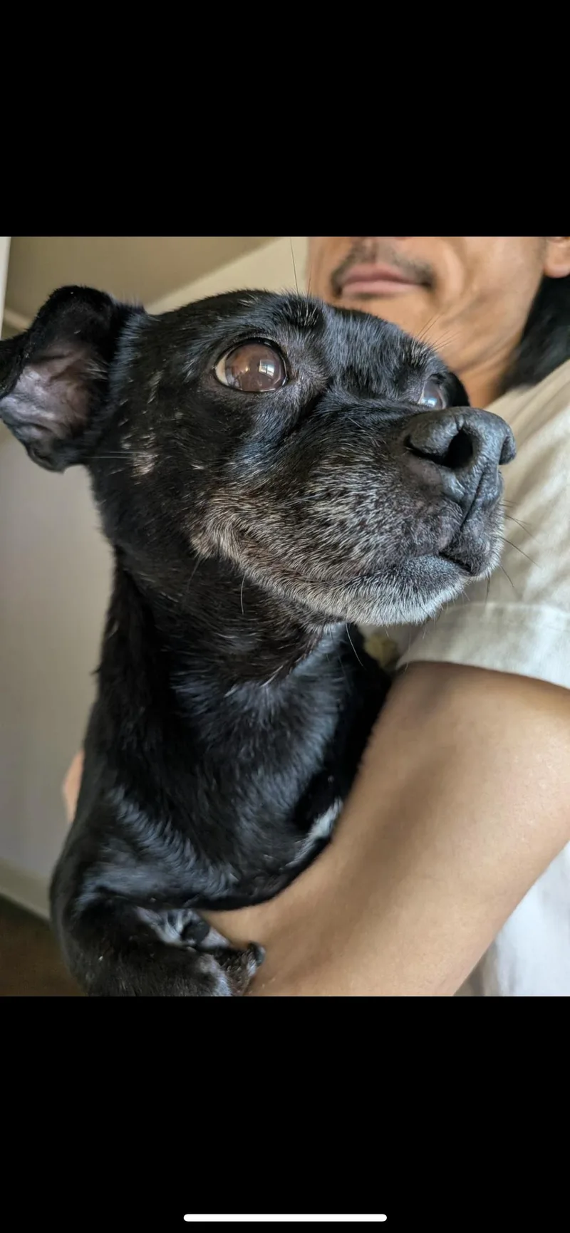 Lola thumbnail 2