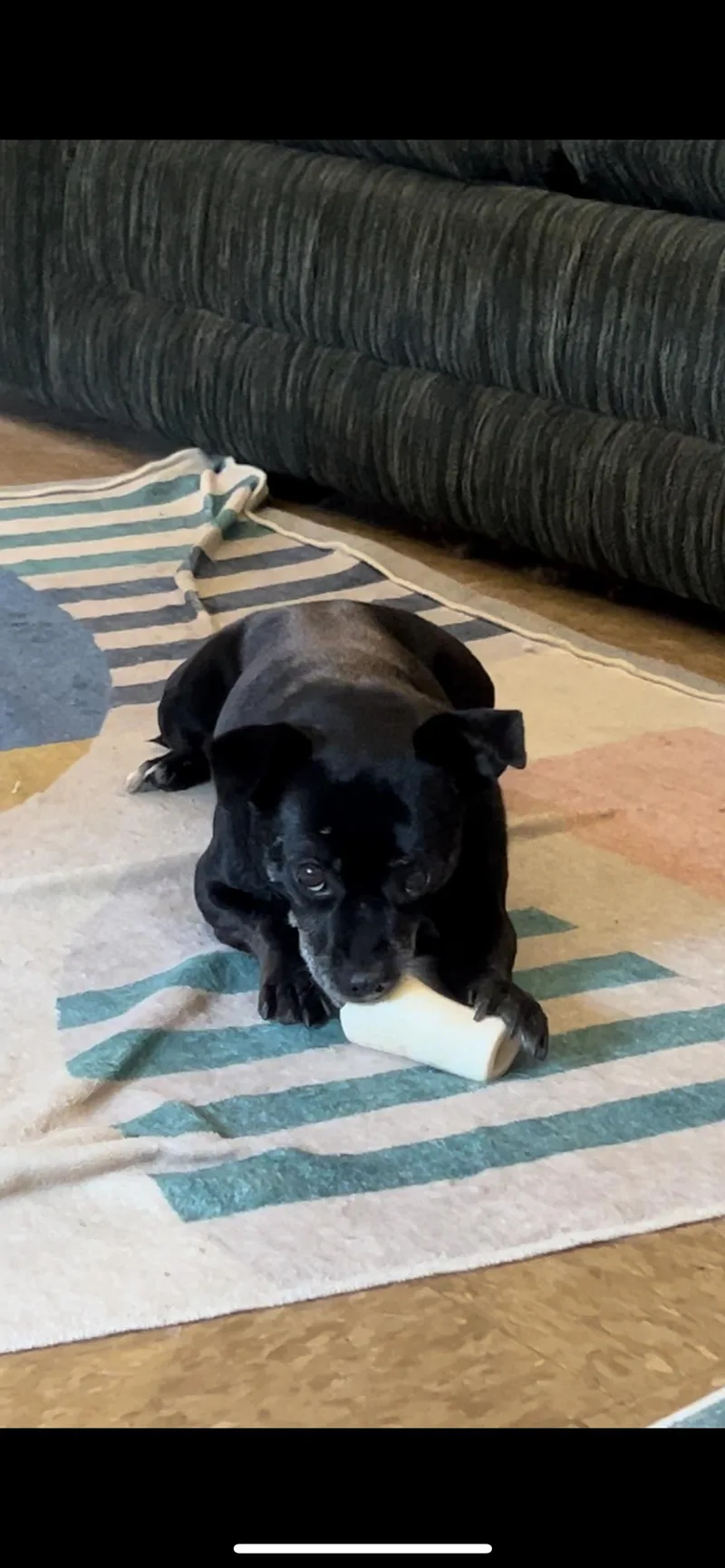 Lola thumbnail 5