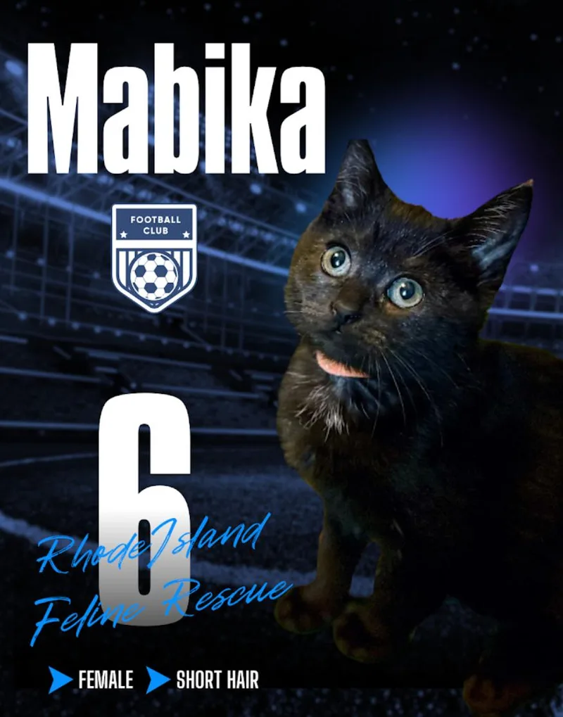 Mabika thumbnail 5