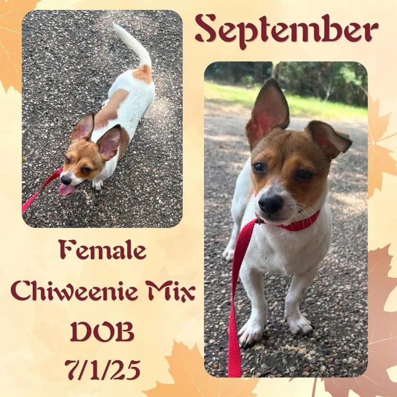 September