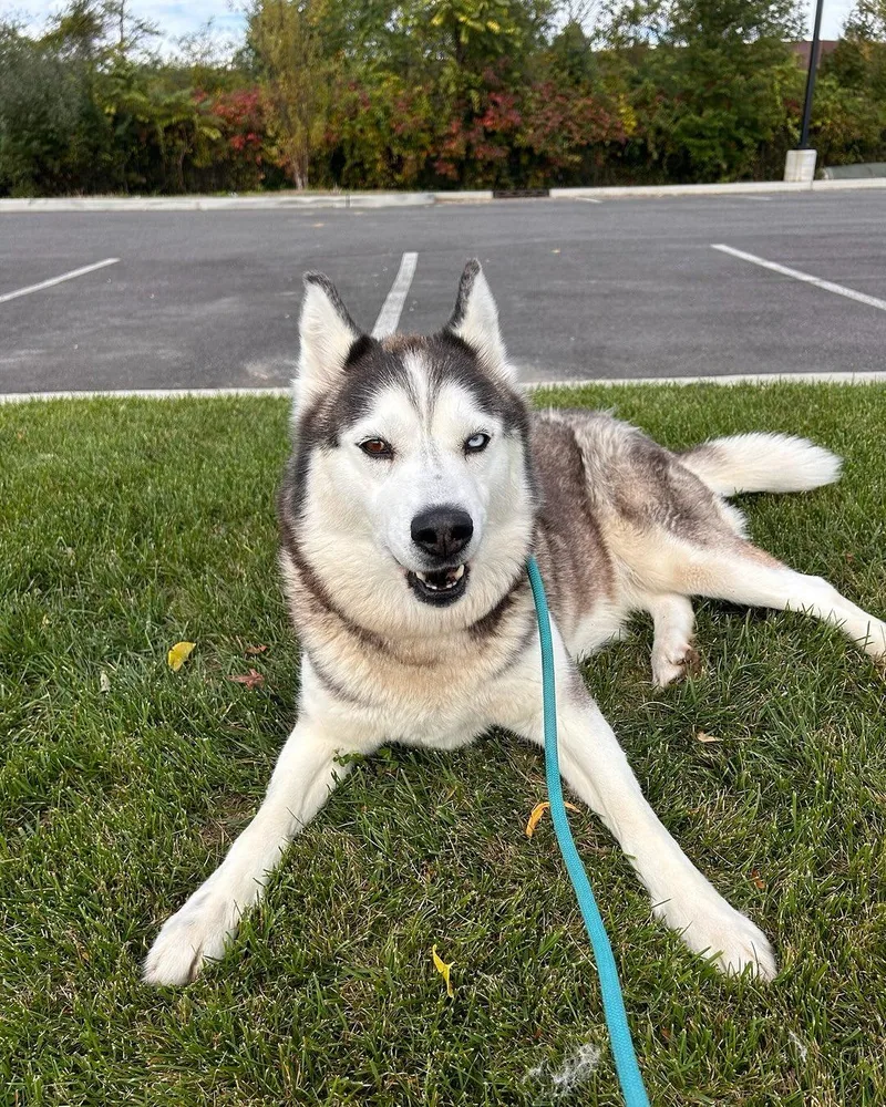 Kozy Tag thumbnail 2