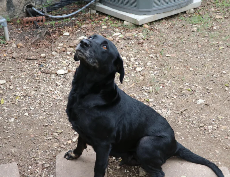 Ms. Tiffany thumbnail 2