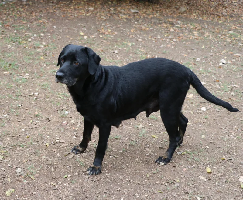 Ms. Tiffany thumbnail 3