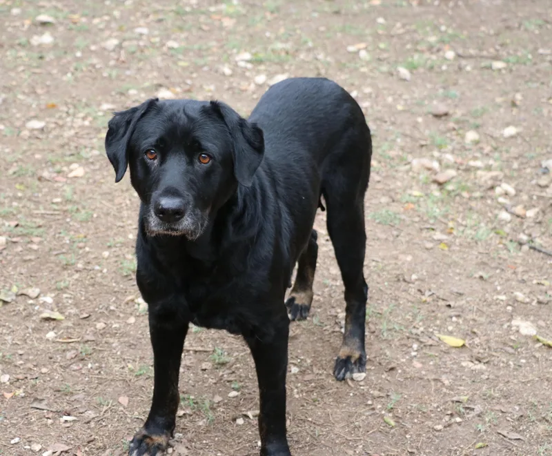 Ms. Tiffany thumbnail 4