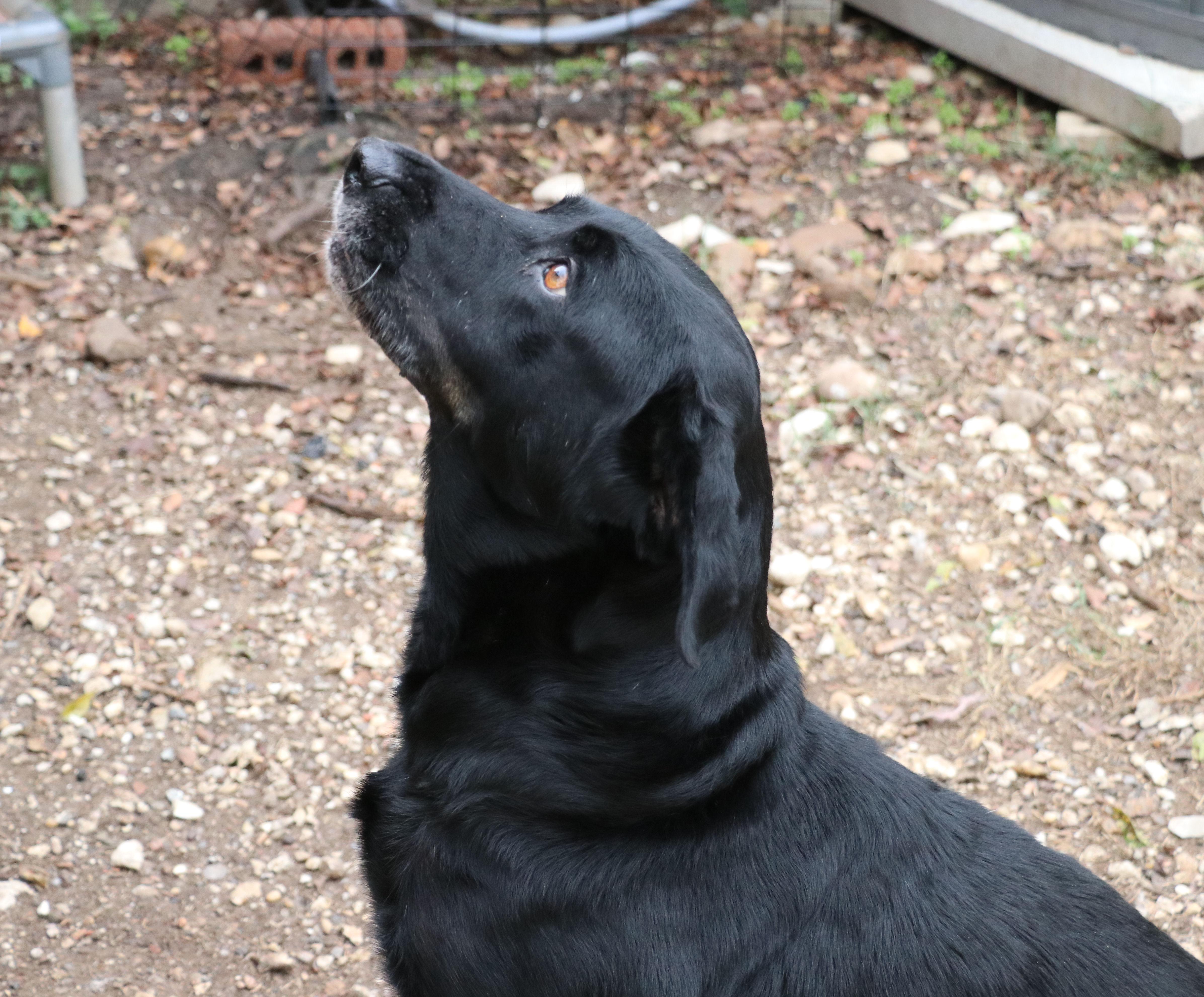 Ms. Tiffany thumbnail 5