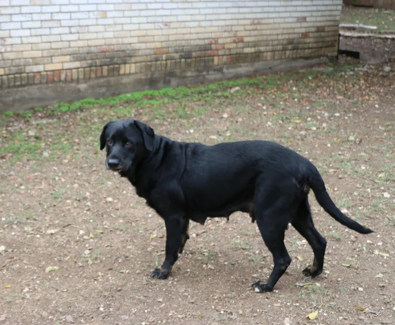 Ms. Tiffany thumbnail 6