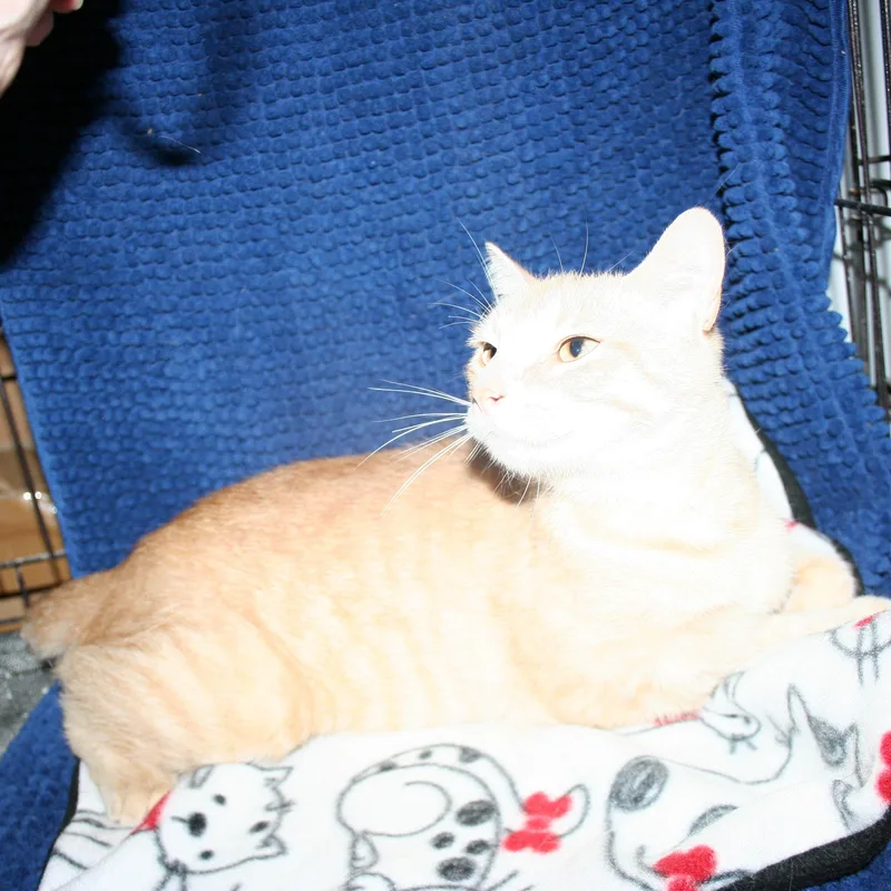 Miss Sammie thumbnail 3