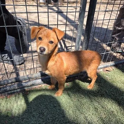 Gilligan Pf thumbnail 3