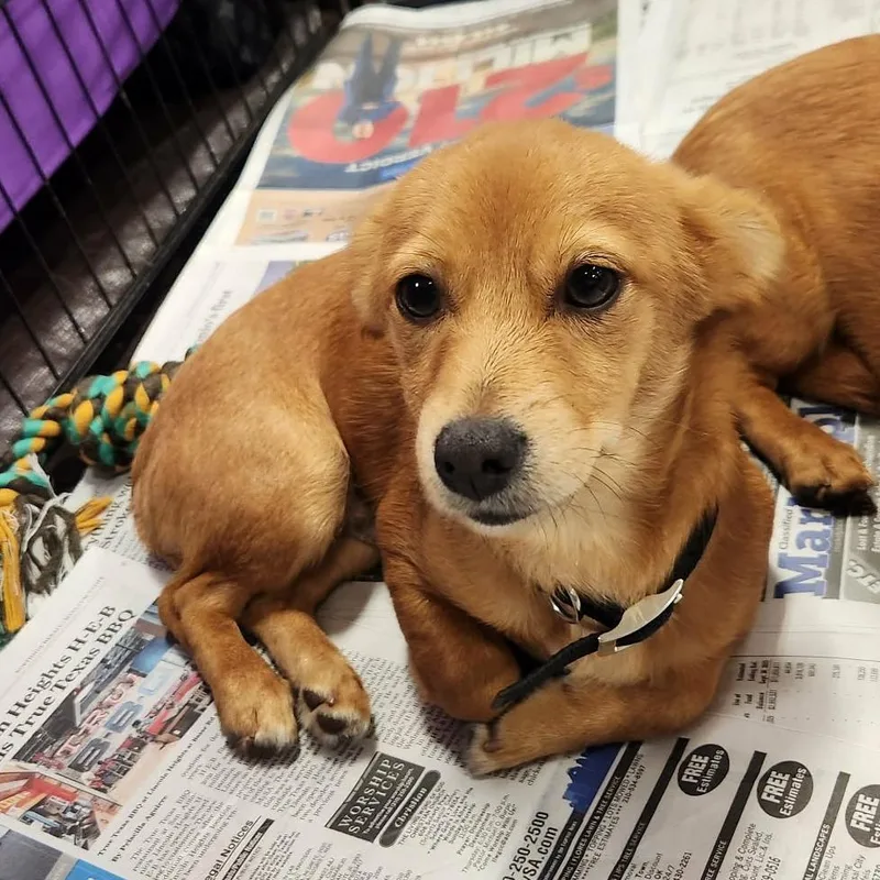 Gilligan Pf thumbnail 5