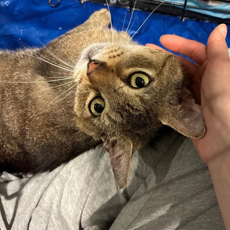 Bruce Willis thumbnail 3