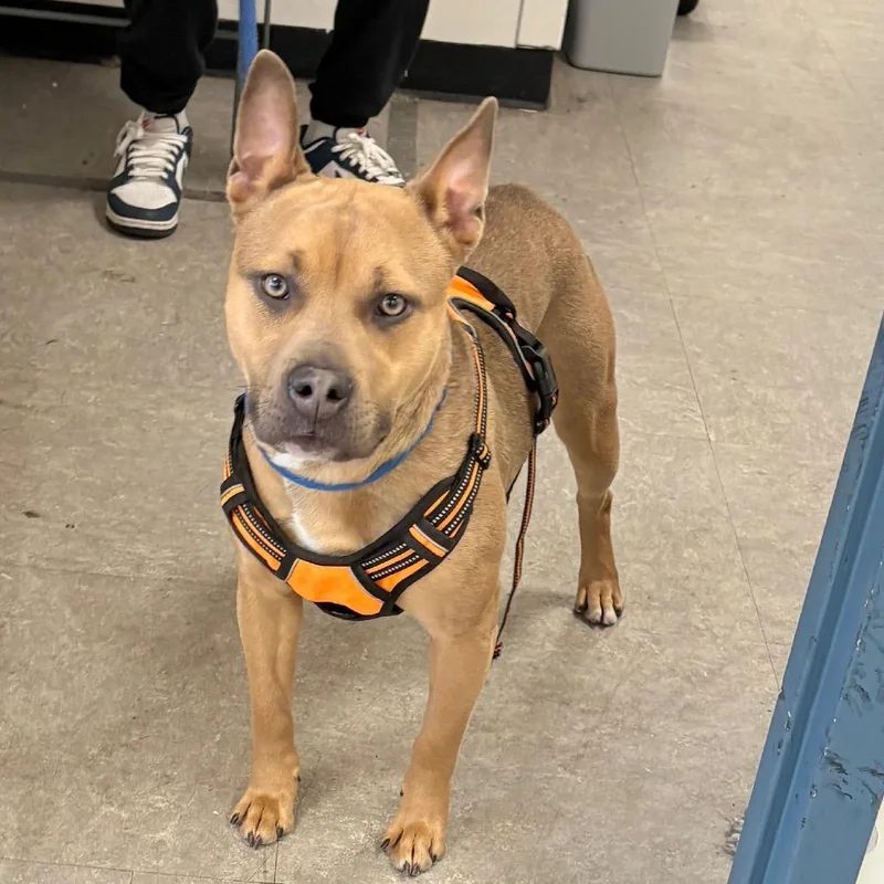 Sprinkles thumbnail 2