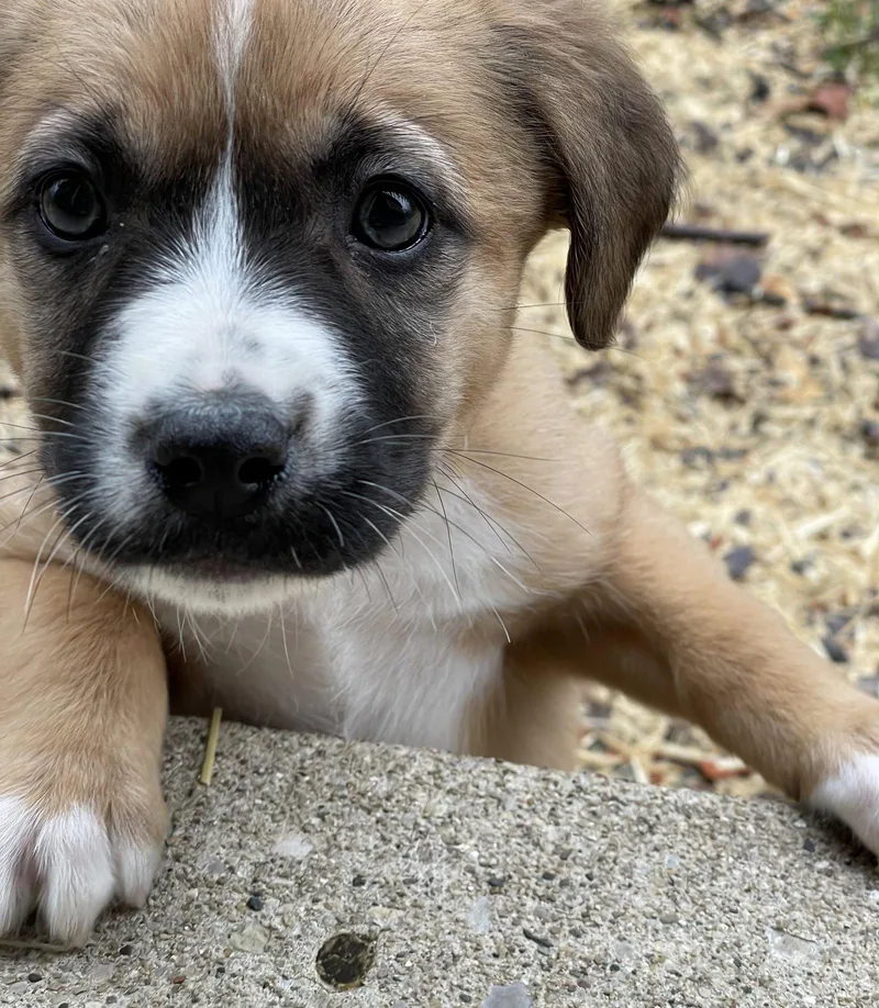 Penne Lane thumbnail 2