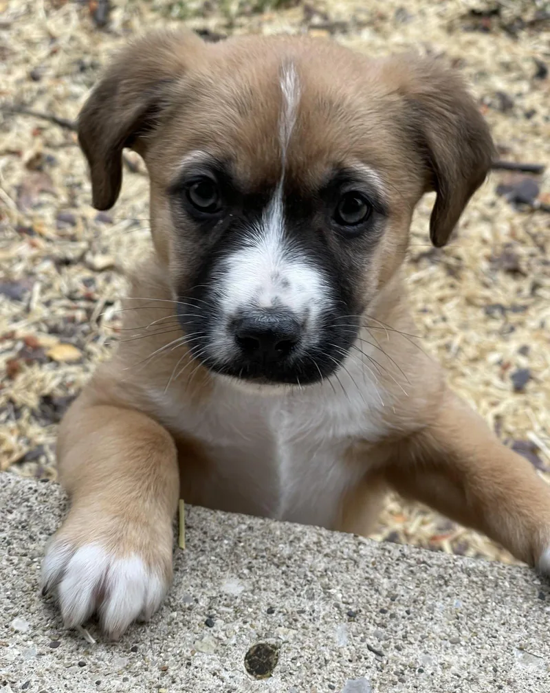 Penne Lane thumbnail 3