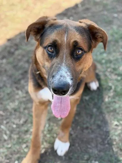 Diego