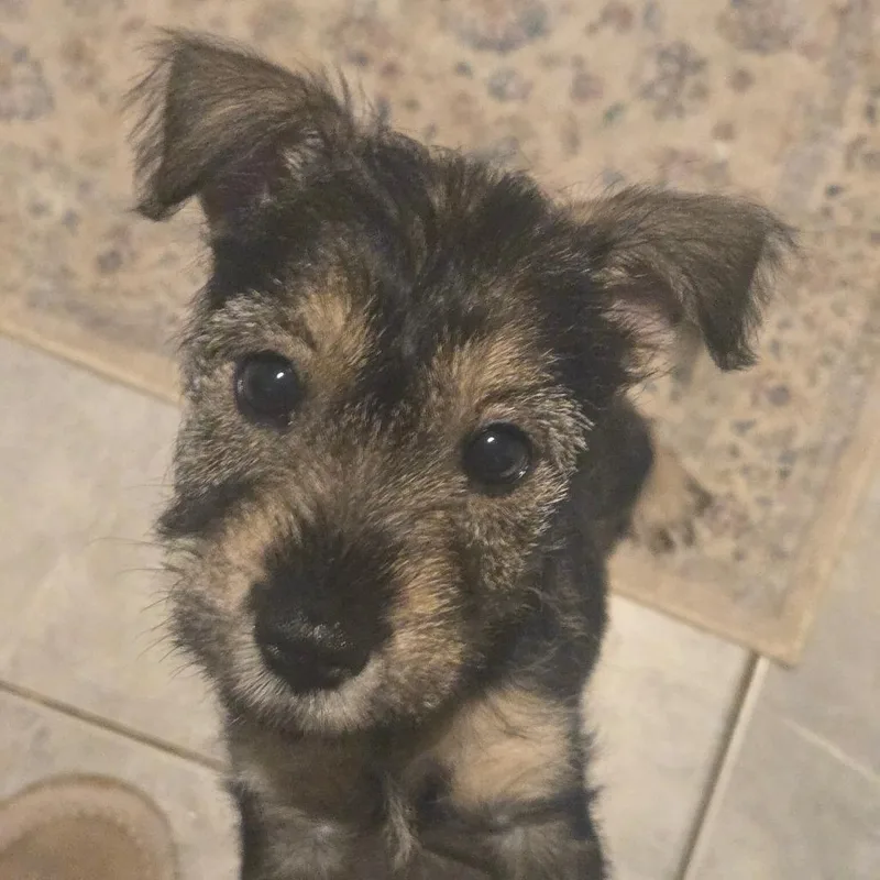 Lil' Bit thumbnail 2