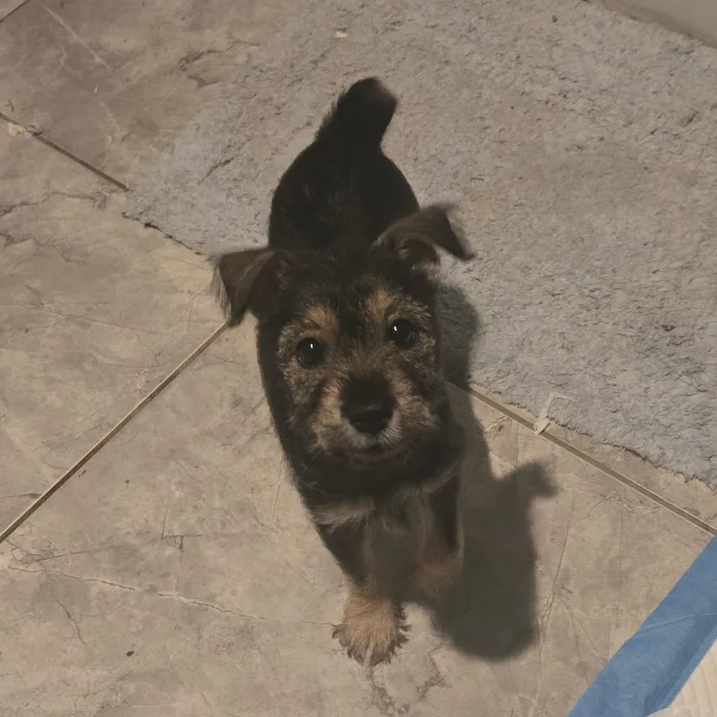 Lil' Bit thumbnail 3