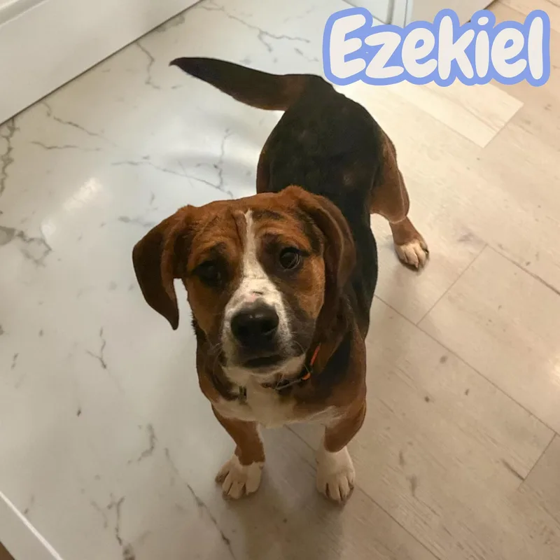 Ezekiel Lbs Of
