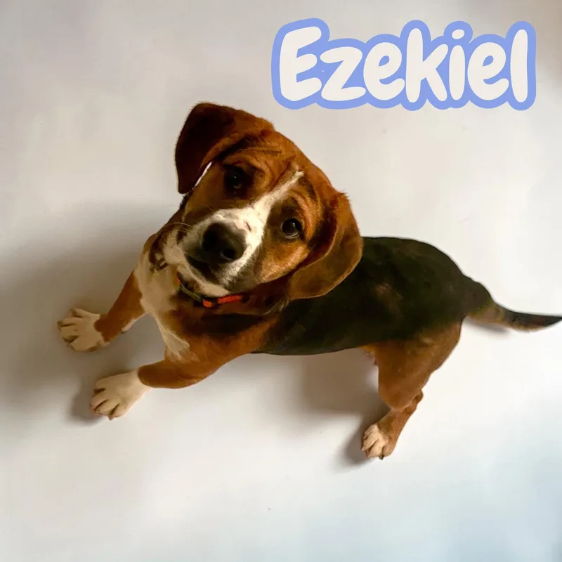 Ezekiel  Lbs Of thumbnail 2