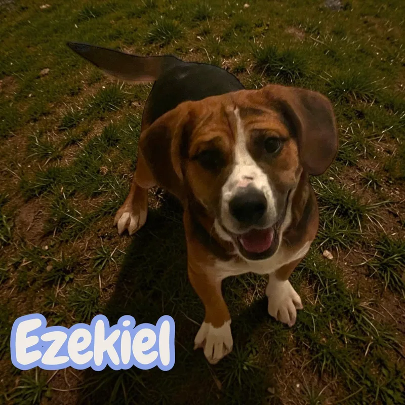 Ezekiel  Lbs Of thumbnail 3