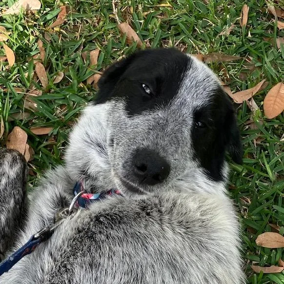 Maggie  Gentle Loving thumbnail 2