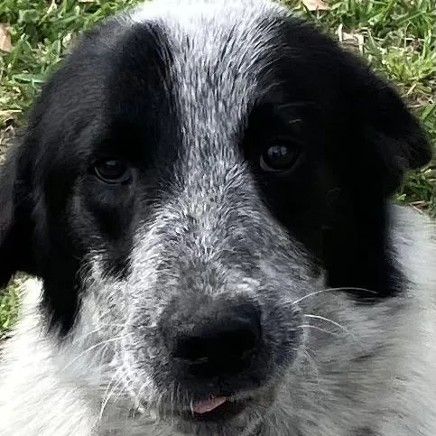 Maggie  Gentle Loving thumbnail 3