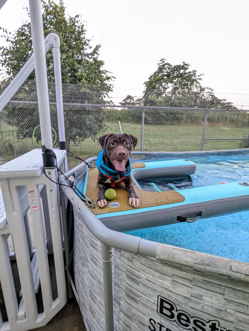 Charlie thumbnail 4