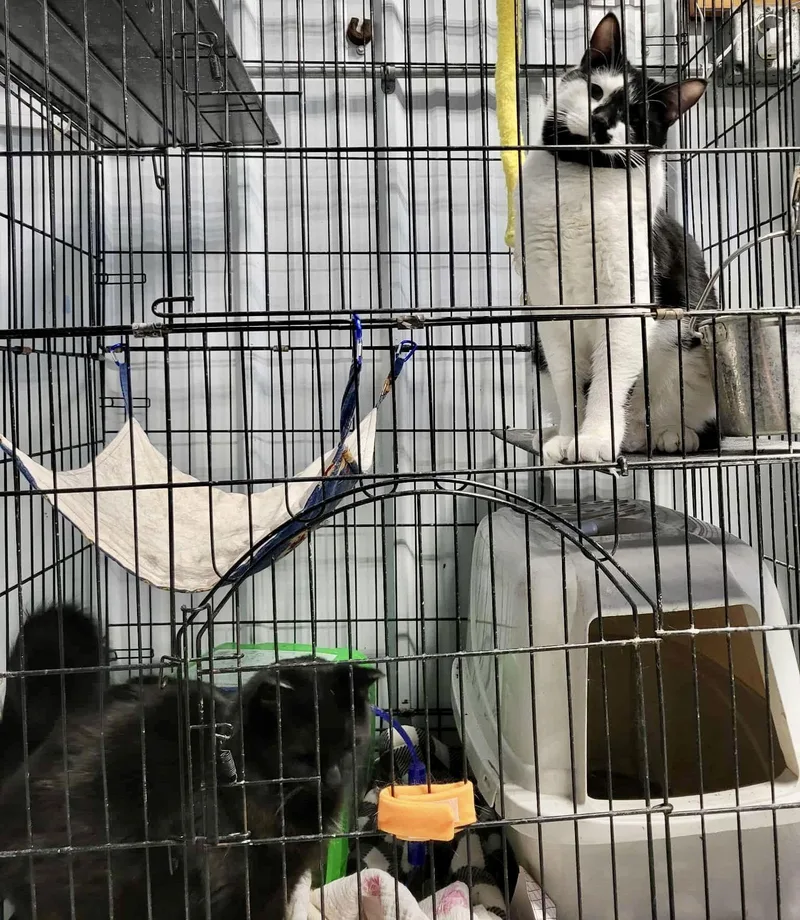 Darcy & Ken thumbnail 2