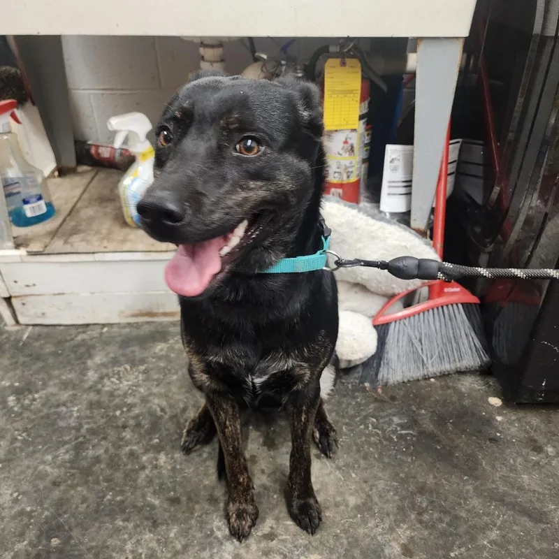 Sissy Gump thumbnail 3