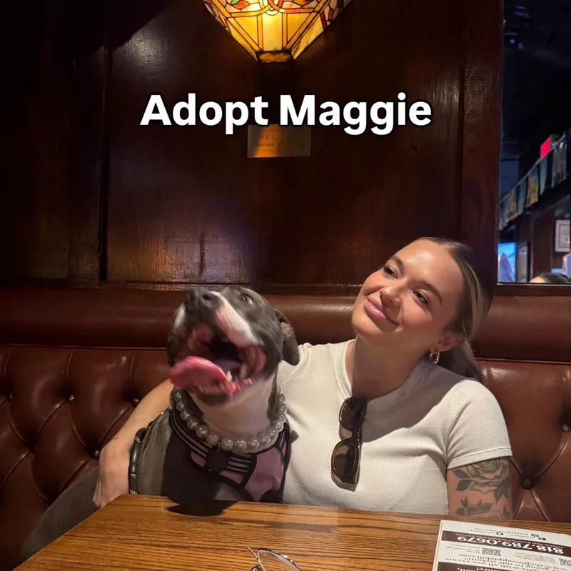 Maggie thumbnail 5