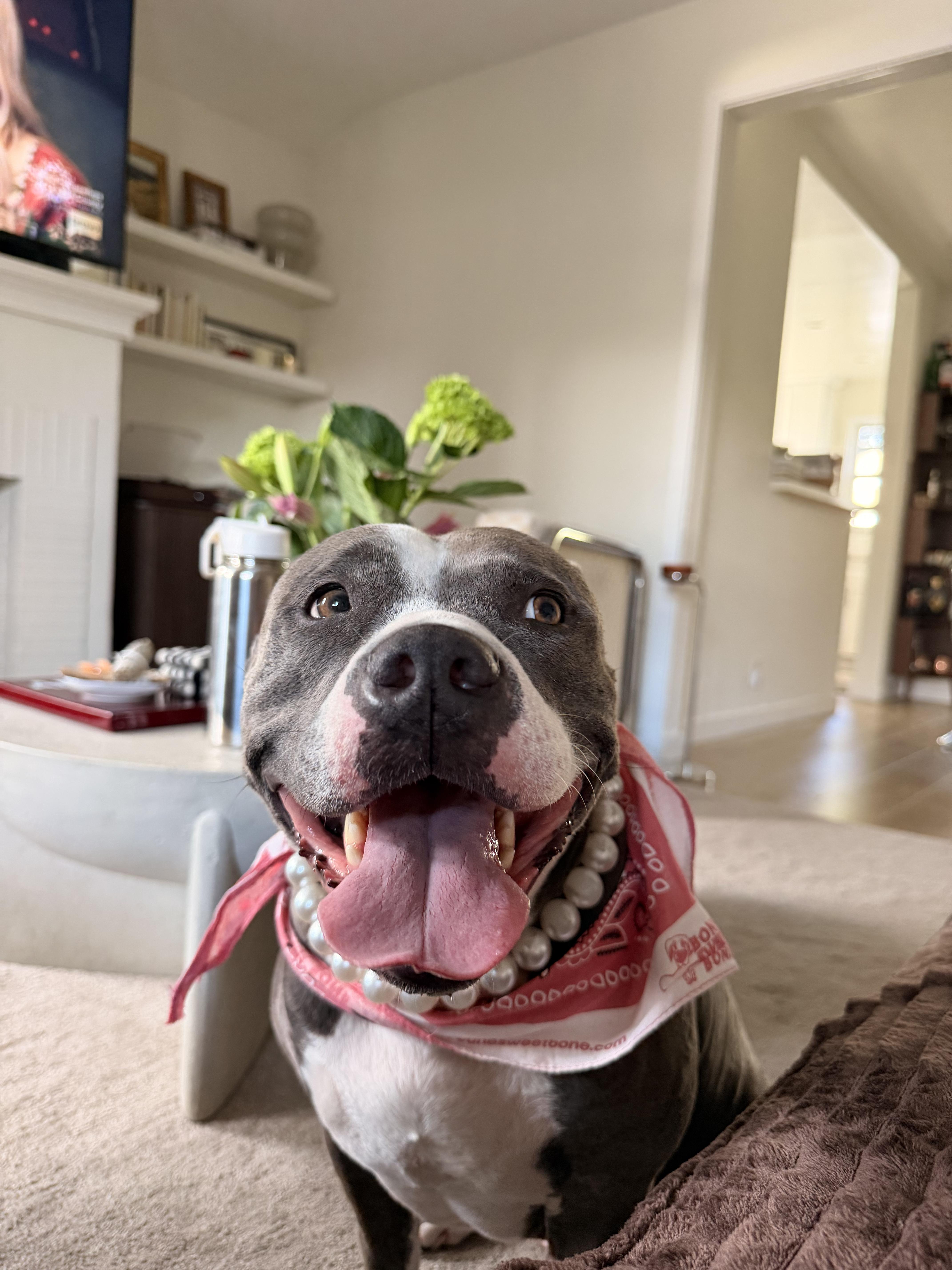 Maggie thumbnail 6