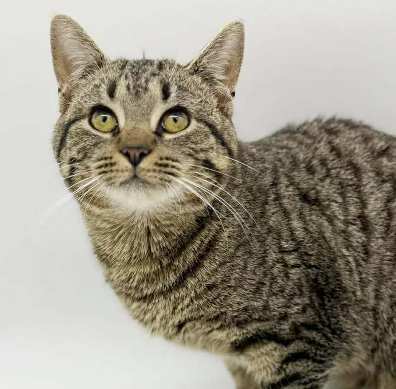 Noah Is Nothing Less thumbnail 3