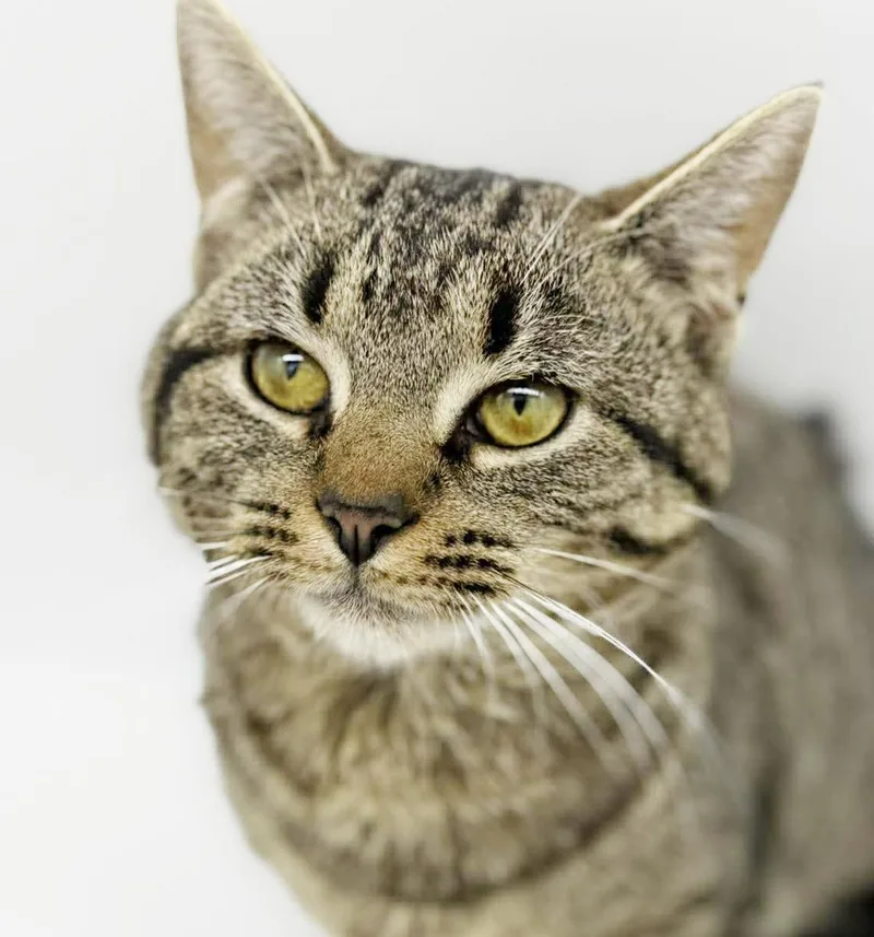 Noah Is Nothing Less thumbnail 4