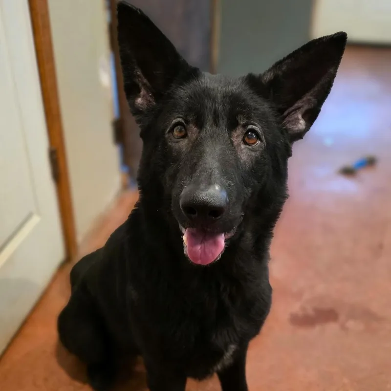 Mia