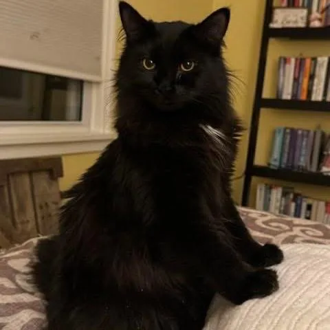 Stormy