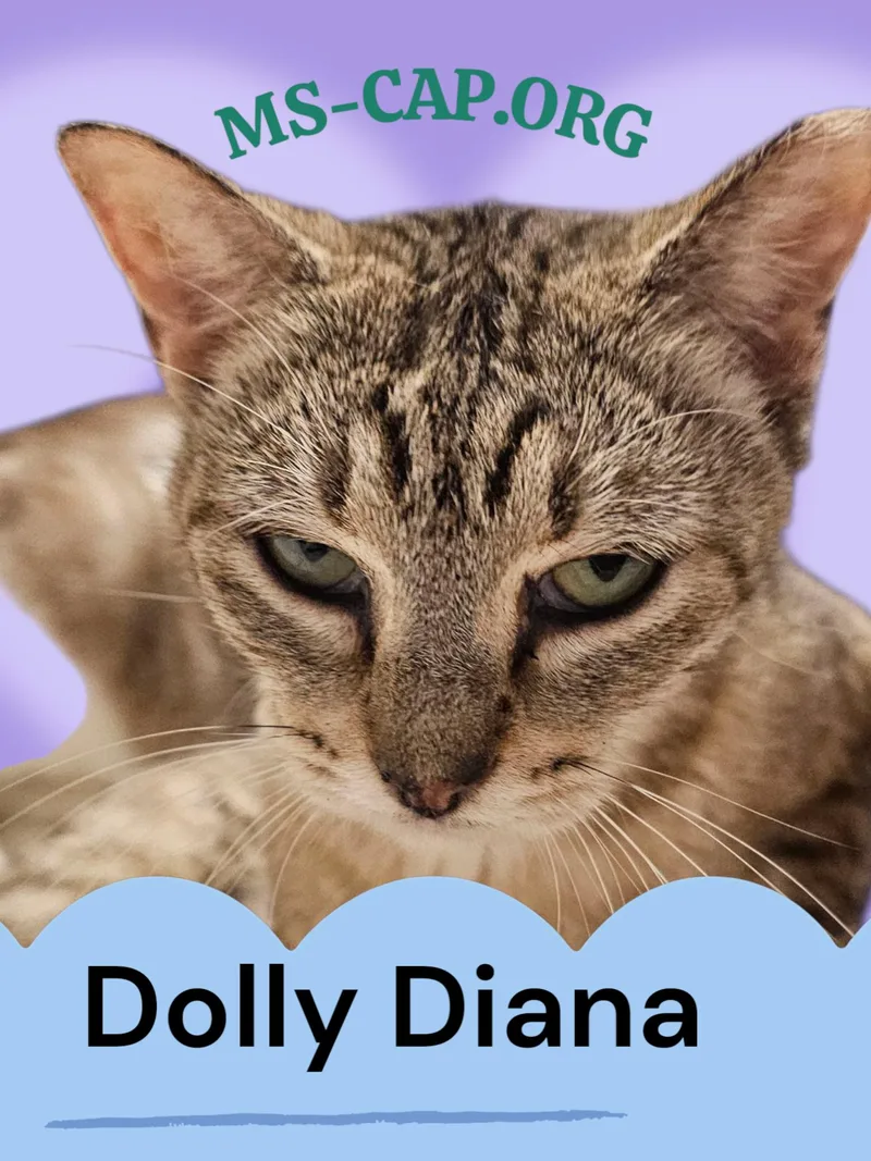 Princess Dolly Diana