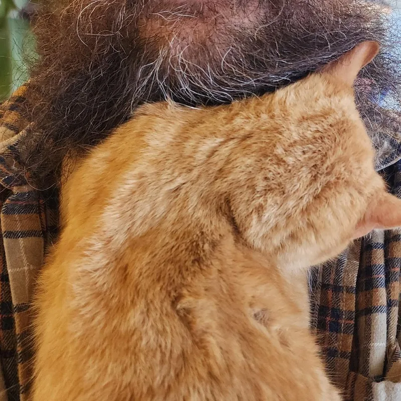 Garfield thumbnail 2