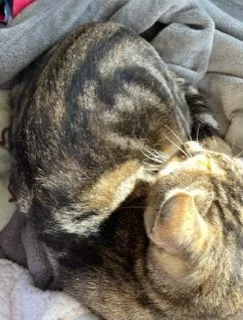 Lil Moma thumbnail 2