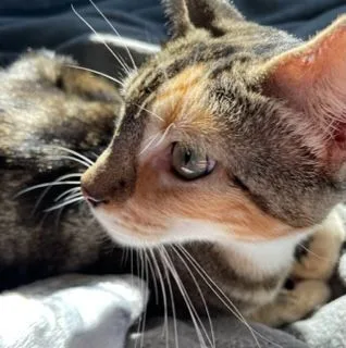 Lil Moma thumbnail 3