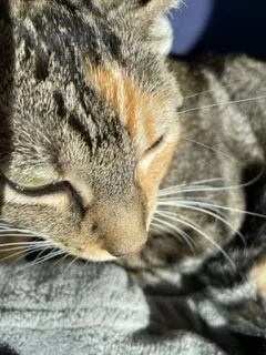 Lil Moma thumbnail 5