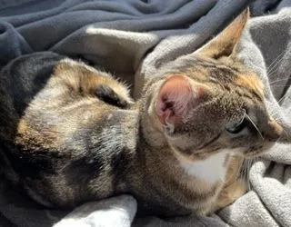 Lil Moma thumbnail 6