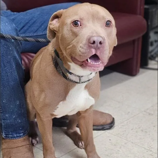 Calvin Gr thumbnail 2