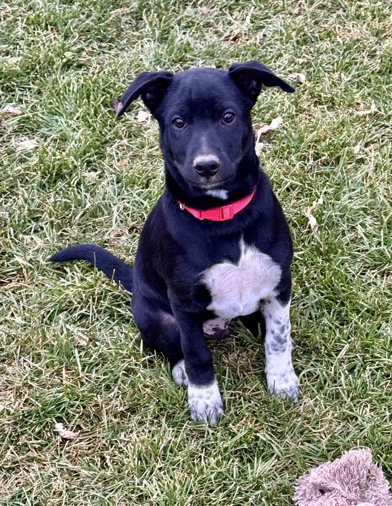 Gutterball thumbnail 2