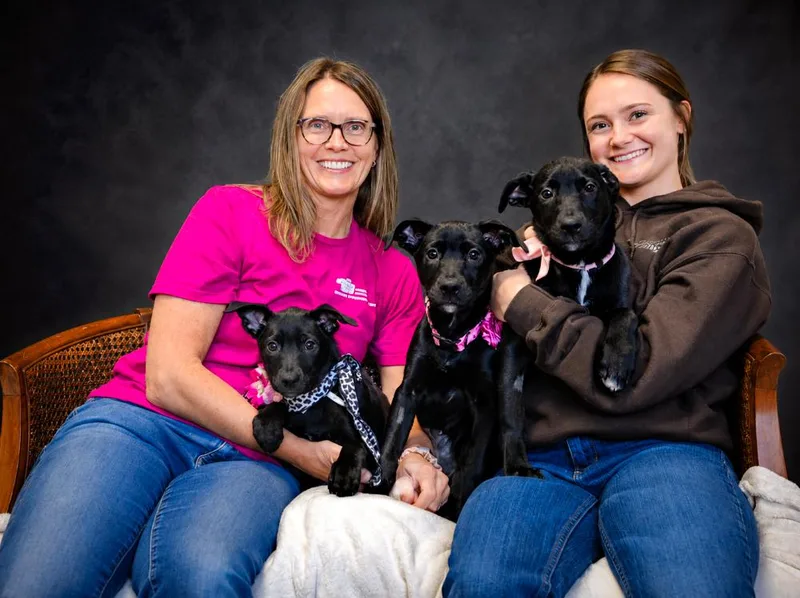 Puppiesqueenie  Piney And thumbnail 4