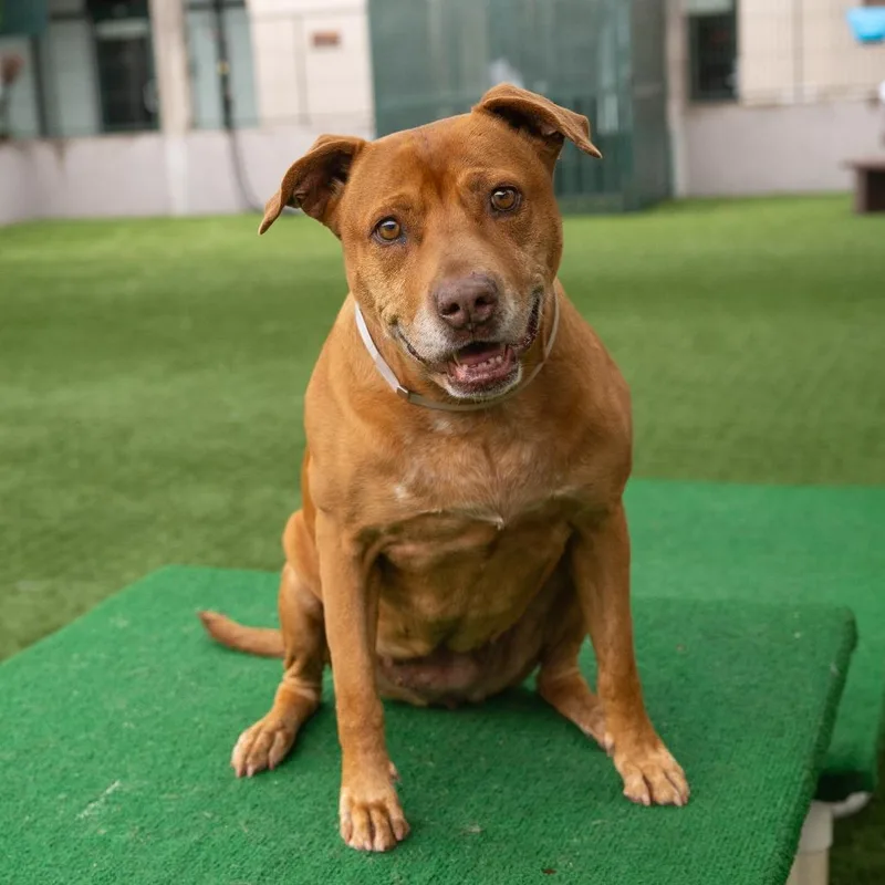 Hennessy thumbnail 2