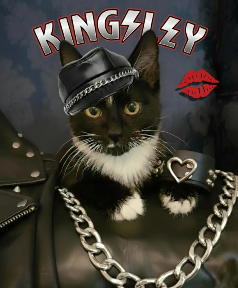 Kingsley thumbnail 4