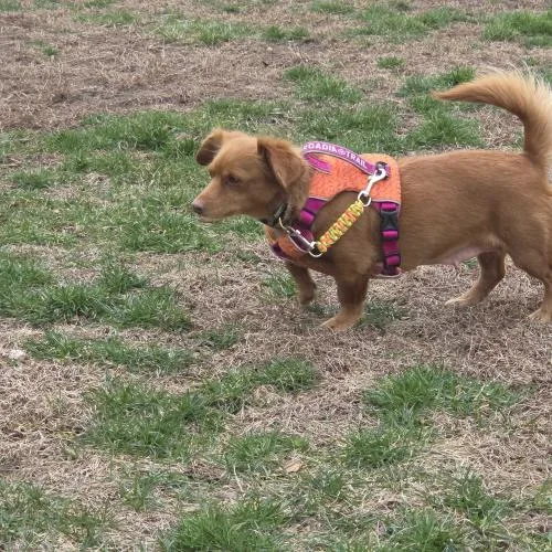 Eternity thumbnail 2