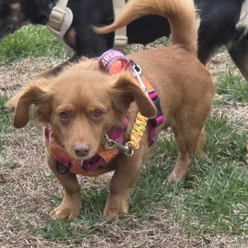 Eternity thumbnail 3